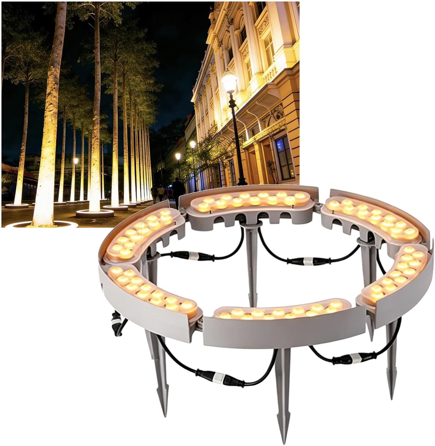 Lampy pierścieniowe z palmą DC 24 V na zewnątrz z transformatorem do dekoracji drzewek(6 Packs)