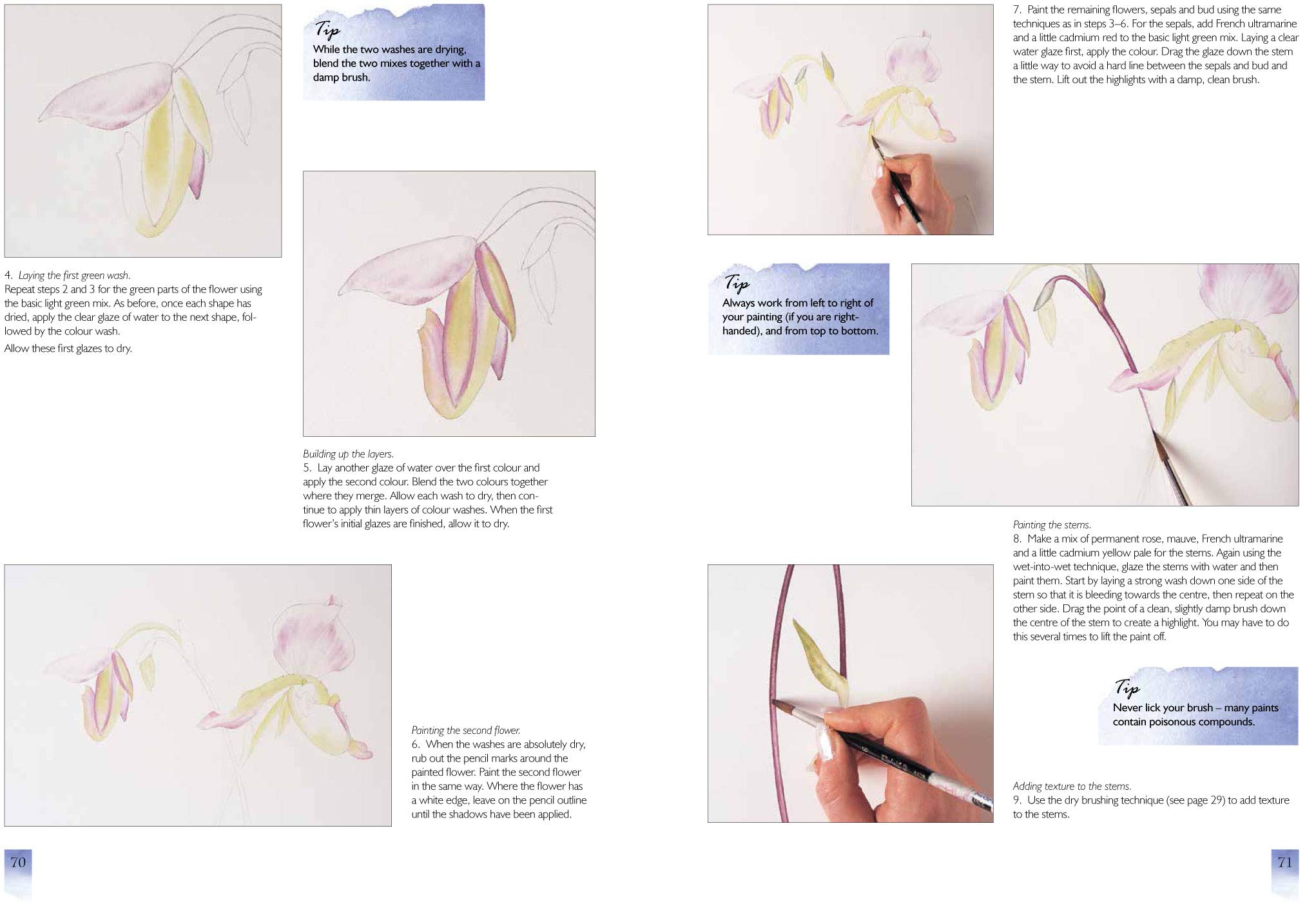 Watercolour Flower Portraits