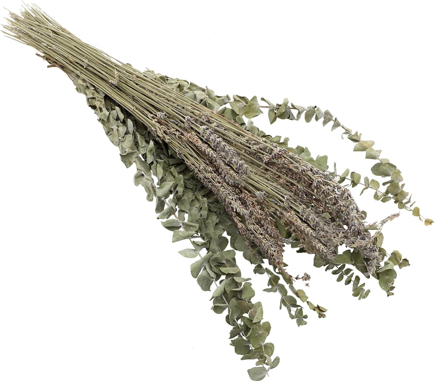 Ciieeo Dried Lavender and Eucalyptus Leaf Bunch, 12 Eucalyptus Stems and 40g Lavender Flowers, Natural Preserved Flower Decor for Home Ornament and Vase Filler