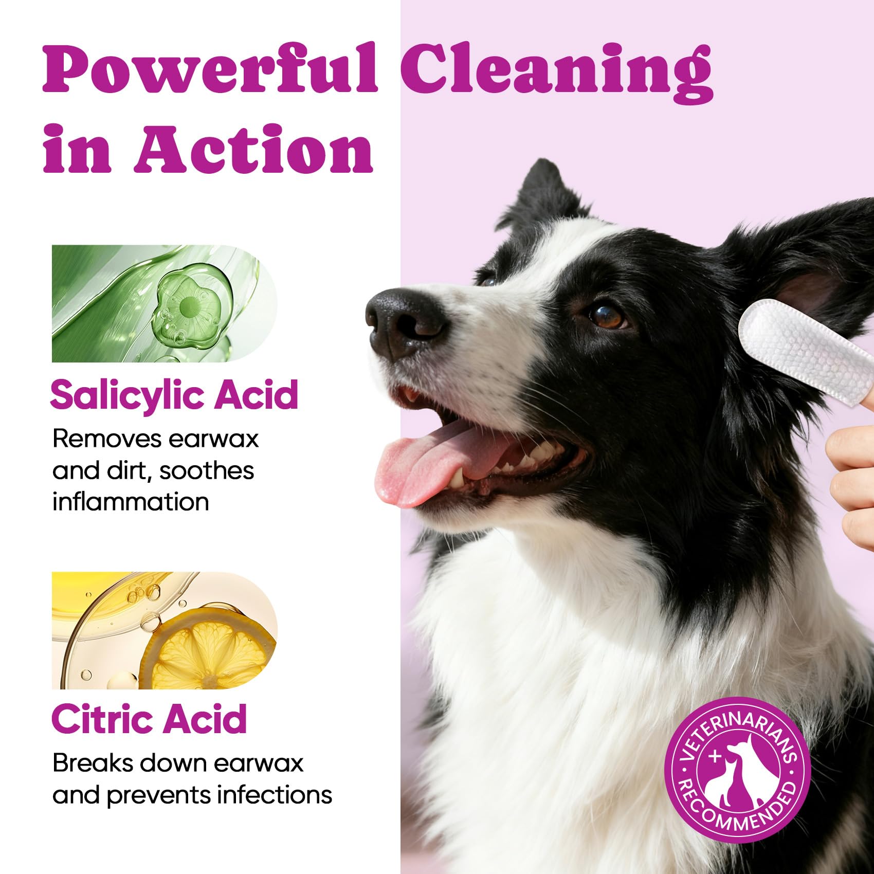 Pet Ear Cleaning Finger Wipes for Dogs & Cats - Dog Ear Cleaner with Aloe, Coconut Oil & Ginseng - Finger Dog Ear Wipes to Relieve Ear Itching, Infections, Wax & Smelly Ears - 50 Ct - Coconut Scent - image 4