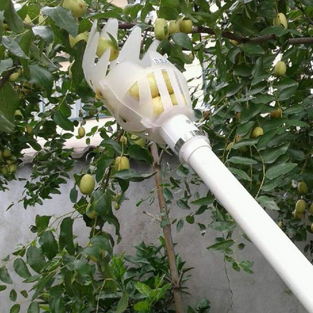Fruit Picker Basket Head, 1Pc Fruits Catcher Tree Picker Fruit Picking Tool for Getting Fruits(Pole Not Included), Fruit Grabber Easy to Assemble(White)