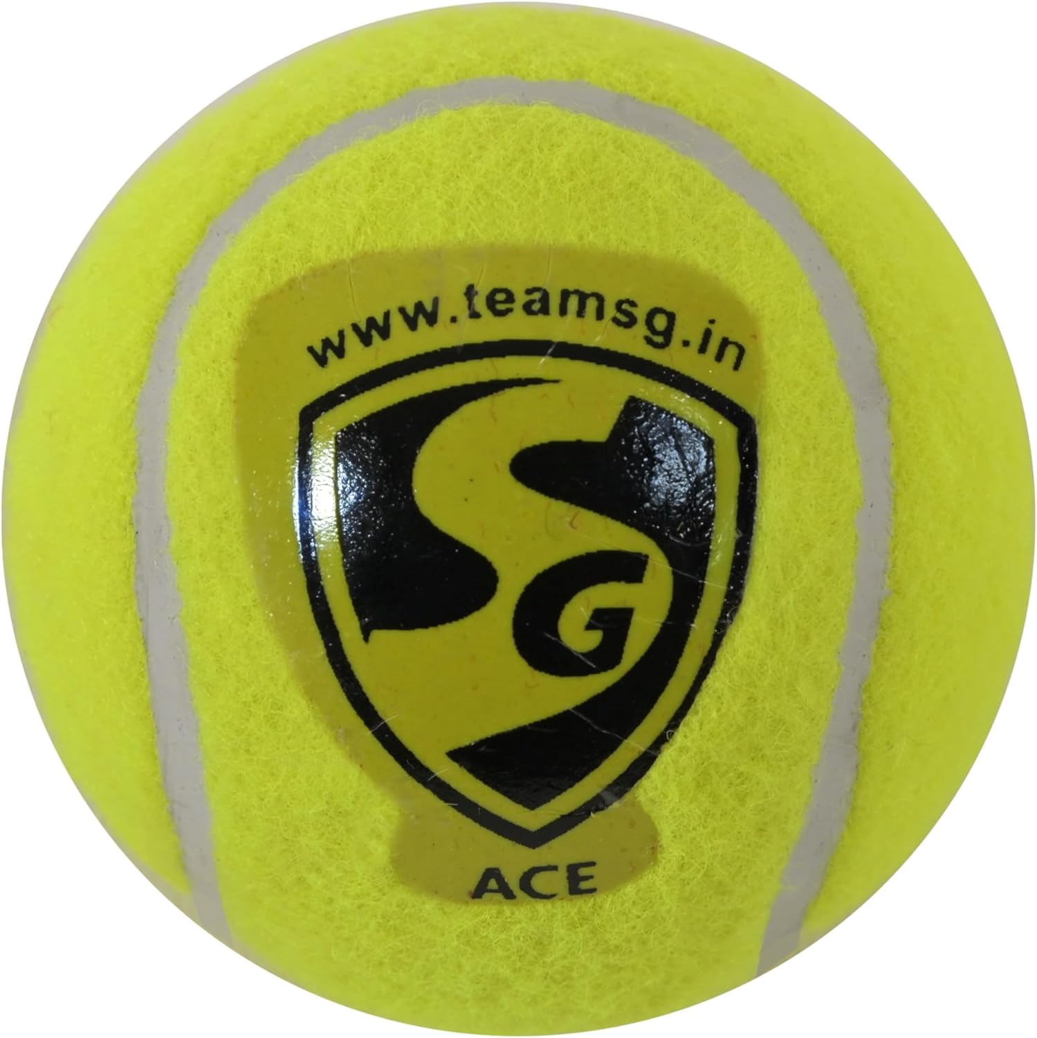 SG County Junior Cricket Kit – Kashmir Willow Bat, Stumps, Balls & Cover | Rishabh Pant Edition | Cricket Set (Size 3, Size 4) - Ready to Play