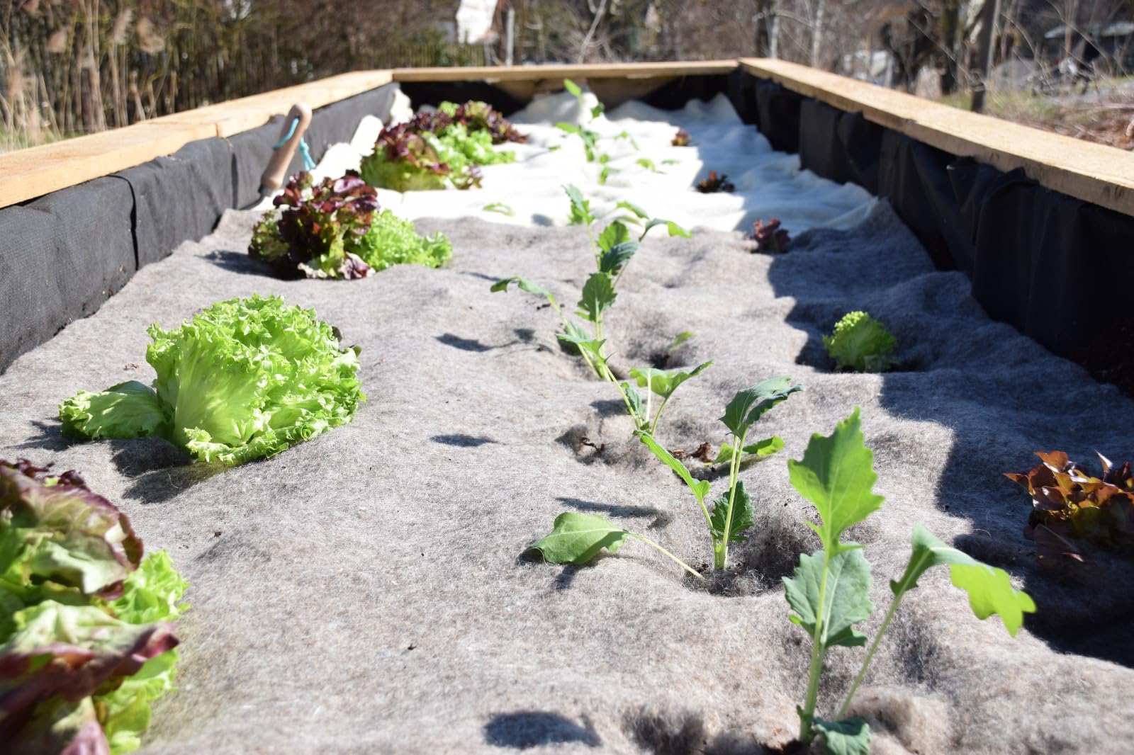 Unkrautschutzmatte aus Schafwolle 100cm Breite für Gartenbeet, Hochbeete - 255g/m² Schafwollvlies 5mm Natur - in Wunschlänge (10m Länge)