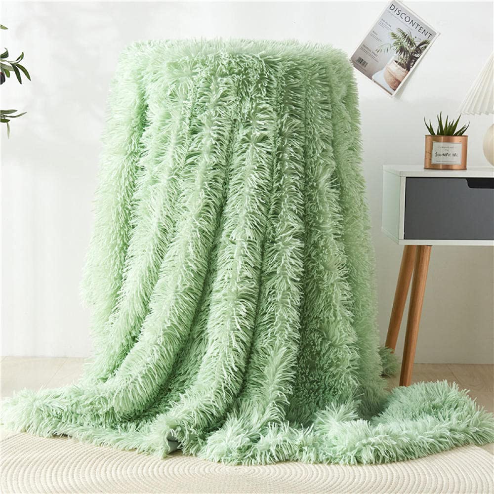 GZQIAWY Chic Shaggy Throw Blanket Soft Plush Bedspread on the Bed Warm Blanket Fluffy Faux Fur Grey Rainbow Blankets for Beds Sofa Manta Light green 160x200cm(can be used as sofa blanket)