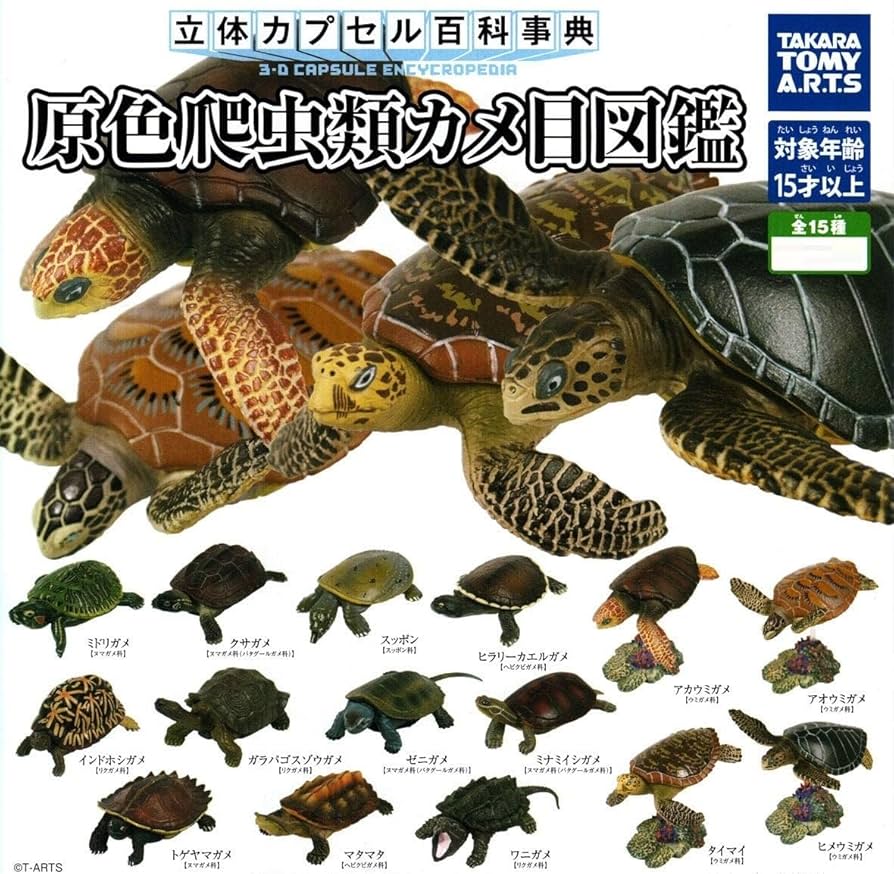 亀ページ Amazon | 立体カプセル百科事典 原色爬虫類カメ目図鑑 4種 6個