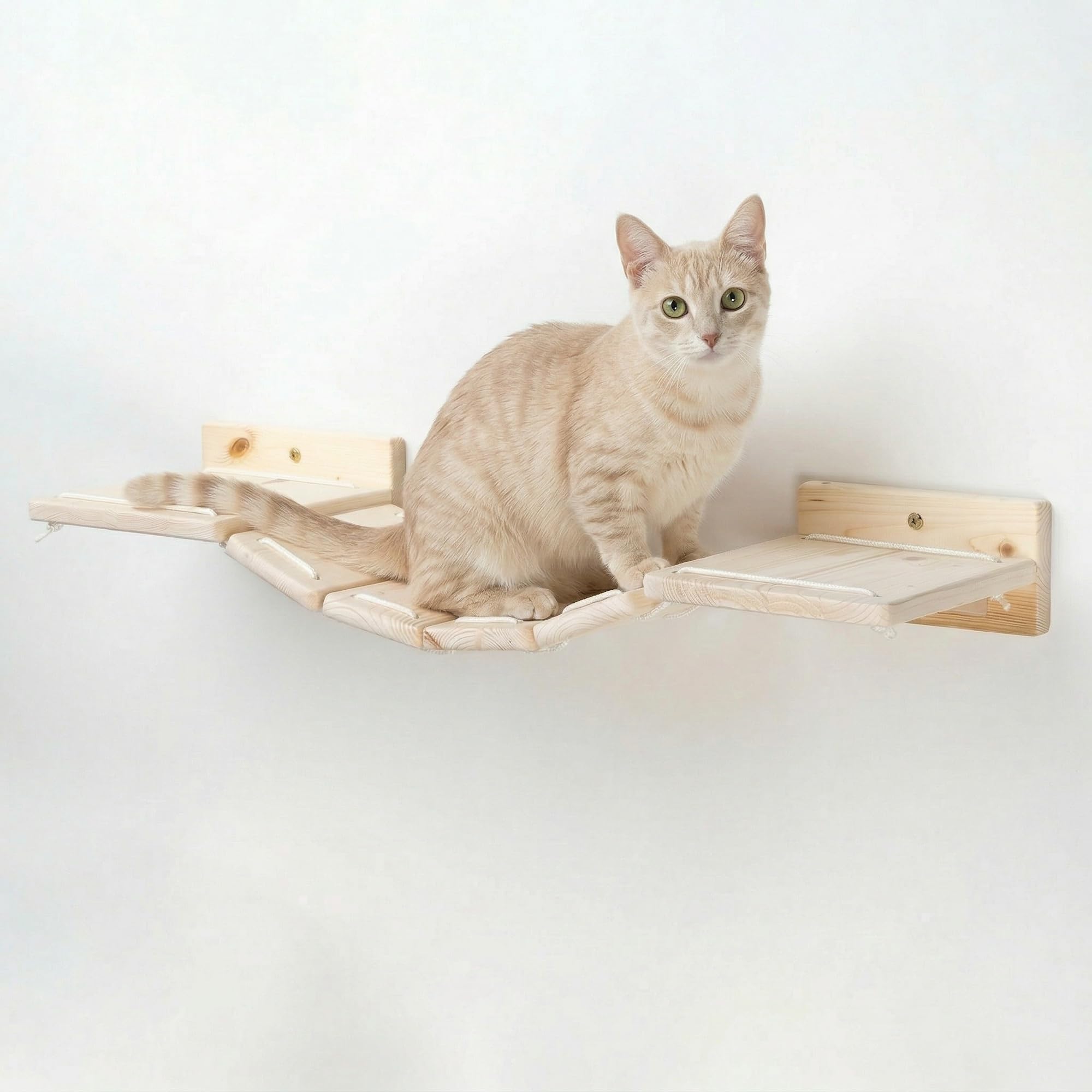 Ponte Tibetano per Gatti in Legno d'Abete PEFC fatto a mano, Ponte da arrampicata per Gatto a 4 listelli lungo 80 cm, Resistente fino a 20Kg, Relax e Gioco per Gatti Avventurosi – Percorsopergatti