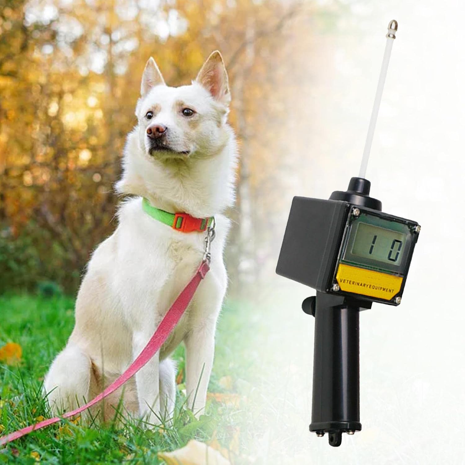 Canine Ovulation Tester/Dog Progesterone Test Machine/Dog Ovulation Detector Tester for Pregnancy Planning Mating Testing
