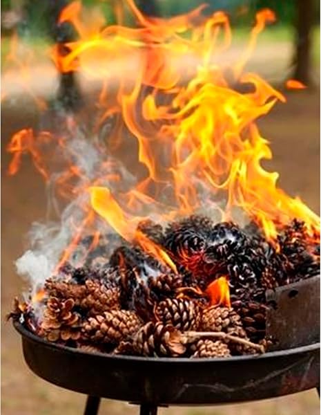 Piñas Encendido Ecológicas, Secas y Grandes para Barbacoa, Chimenea, Caldera y Estufa, 32L - 4