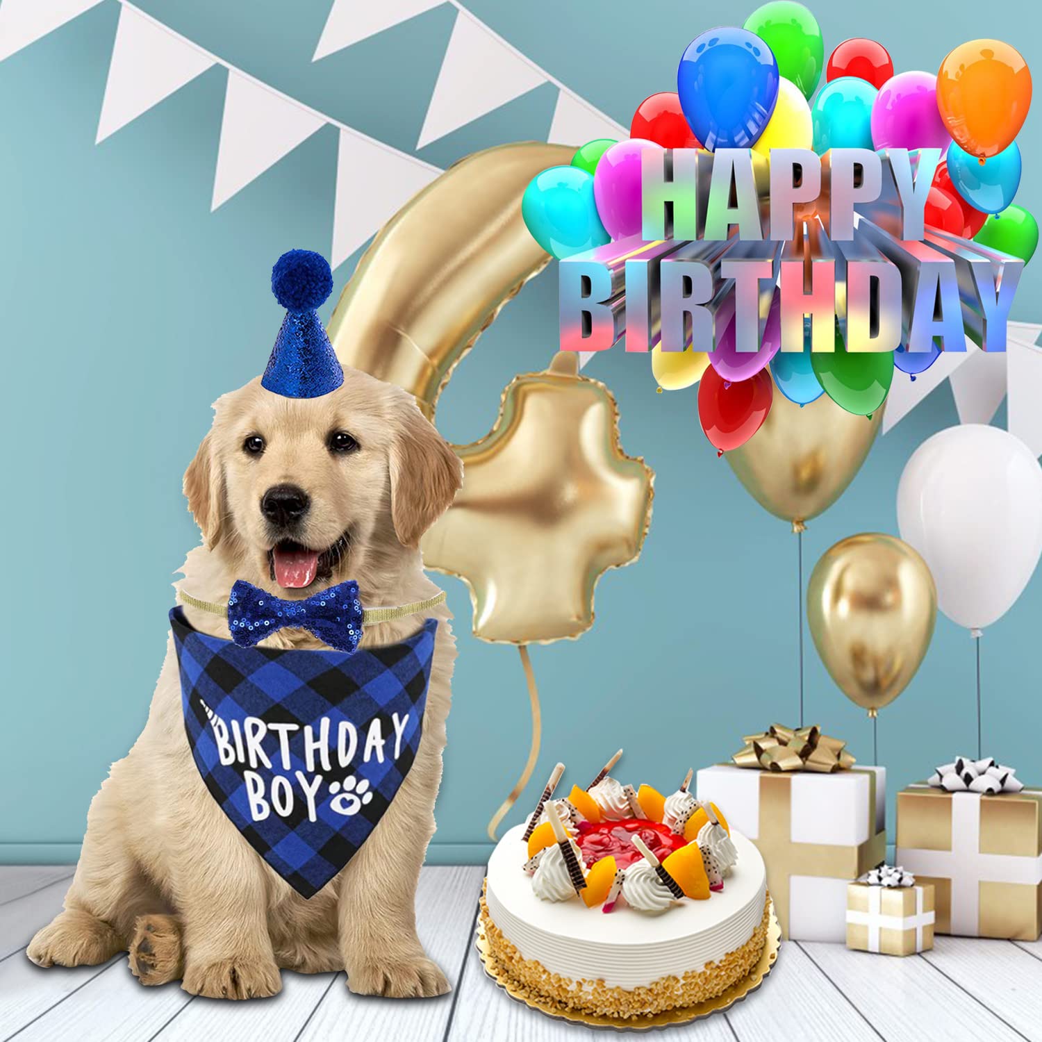 JUKOTA Hunde Geburtstag Set - Party Hut & Bandana Für Kleine Bis Große Hunde