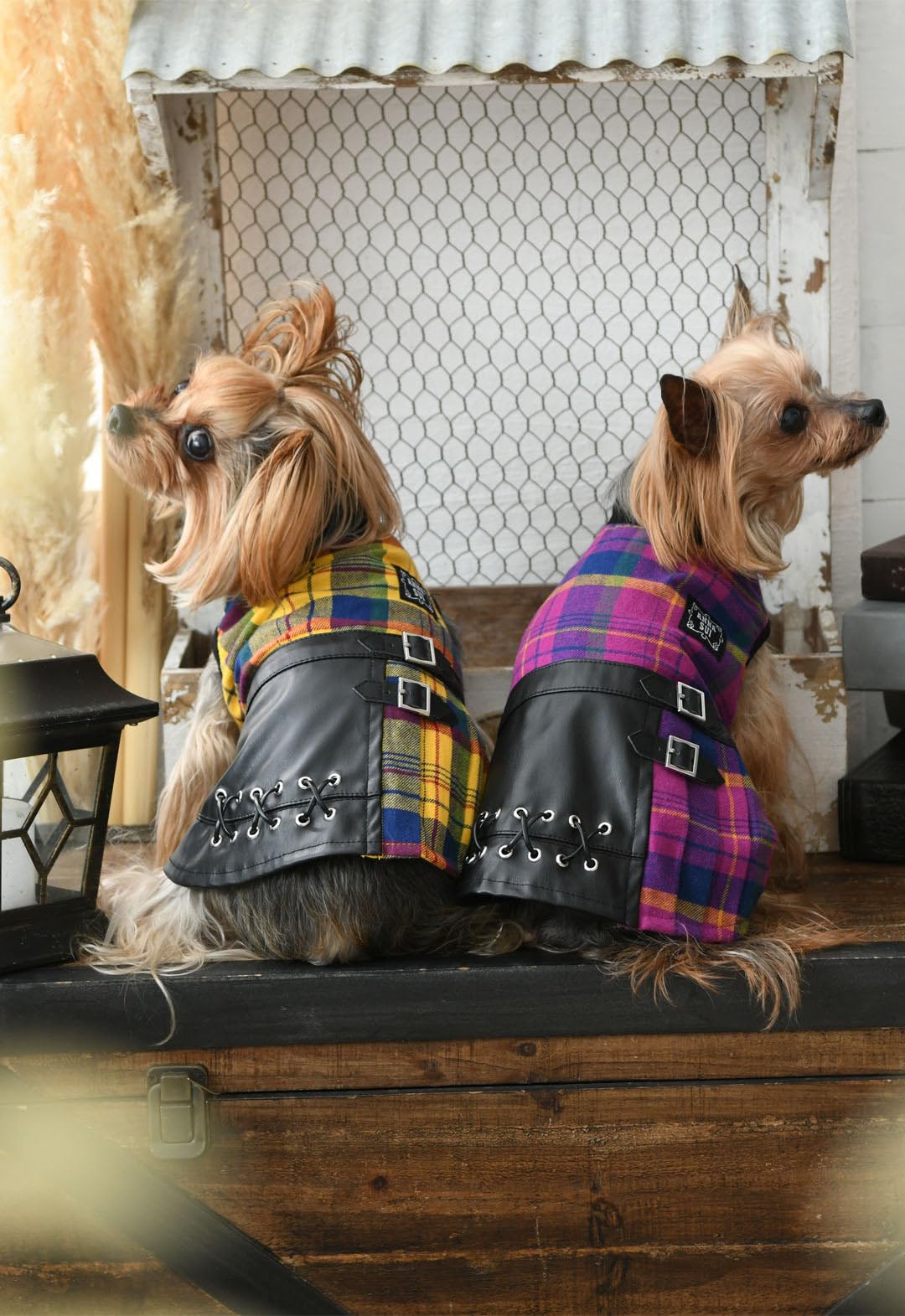 Amazon | ANNA SUI アナスイ ペットウェア 犬 チェック柄フェイク