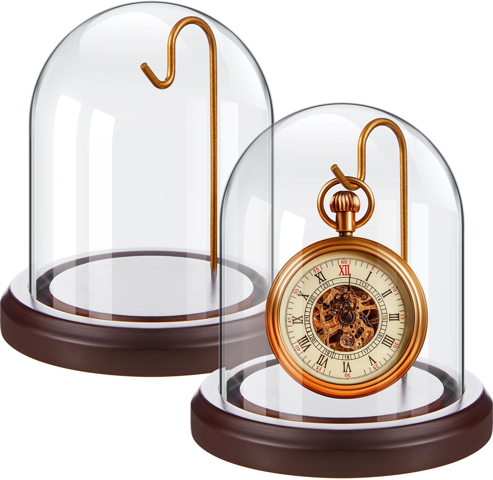 2 Pcs Pocket Watch Glass Display with Hooks Dome Cloche with Wood Base Decorative Glass Display Dome Showcase for Watch Plants Medals Photos Collectibles Dark MDF Base(3" X 4",Gold Hook)