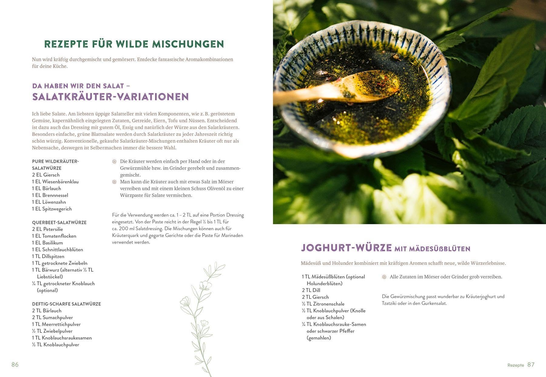 Wilde Würze: Raffinierte Gewürzmischungen aus Wild- und Gartenkräutern
