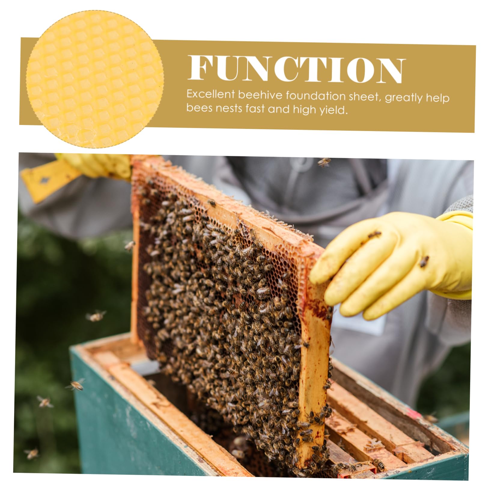 TOYANDONA 30 Láminas Base de Cera de Abejas para Colmenas Amarillas, Material de Cera Natural, Alta Producción y Rápido Anidado, para Fabricación de Velas y Apicultura