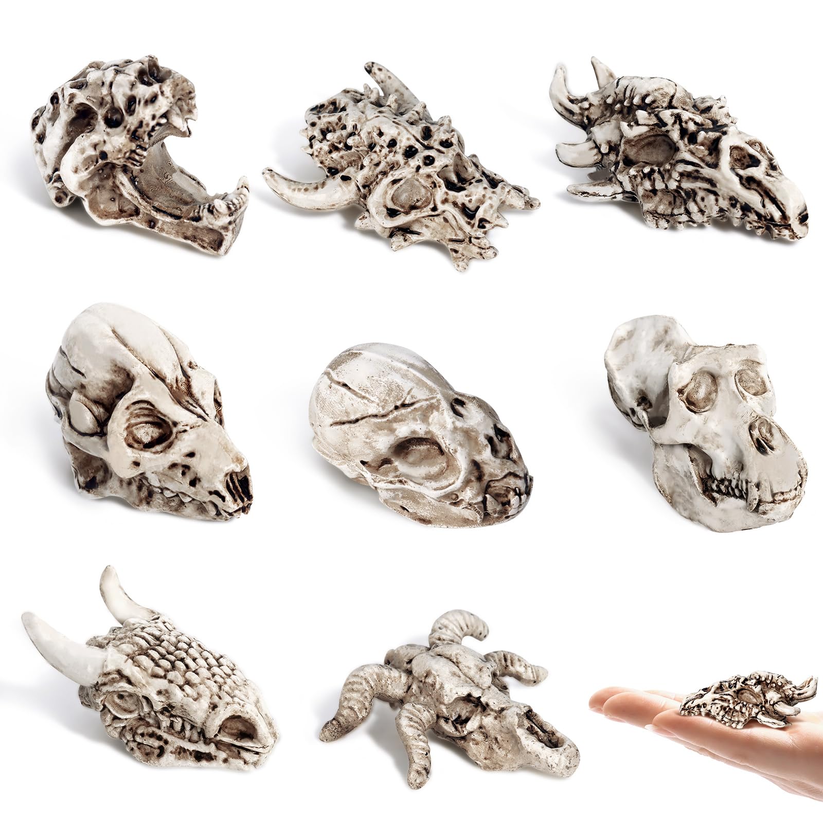 Bbiamsleep 8 Pcs 2.3 Inch Animal Skulls Figurine Resin Mini Skulls Dinosaur Alien Animal Skulls Decor Ornament Mini Skull Heads for DIY Projects Halloween Christmas Decoration