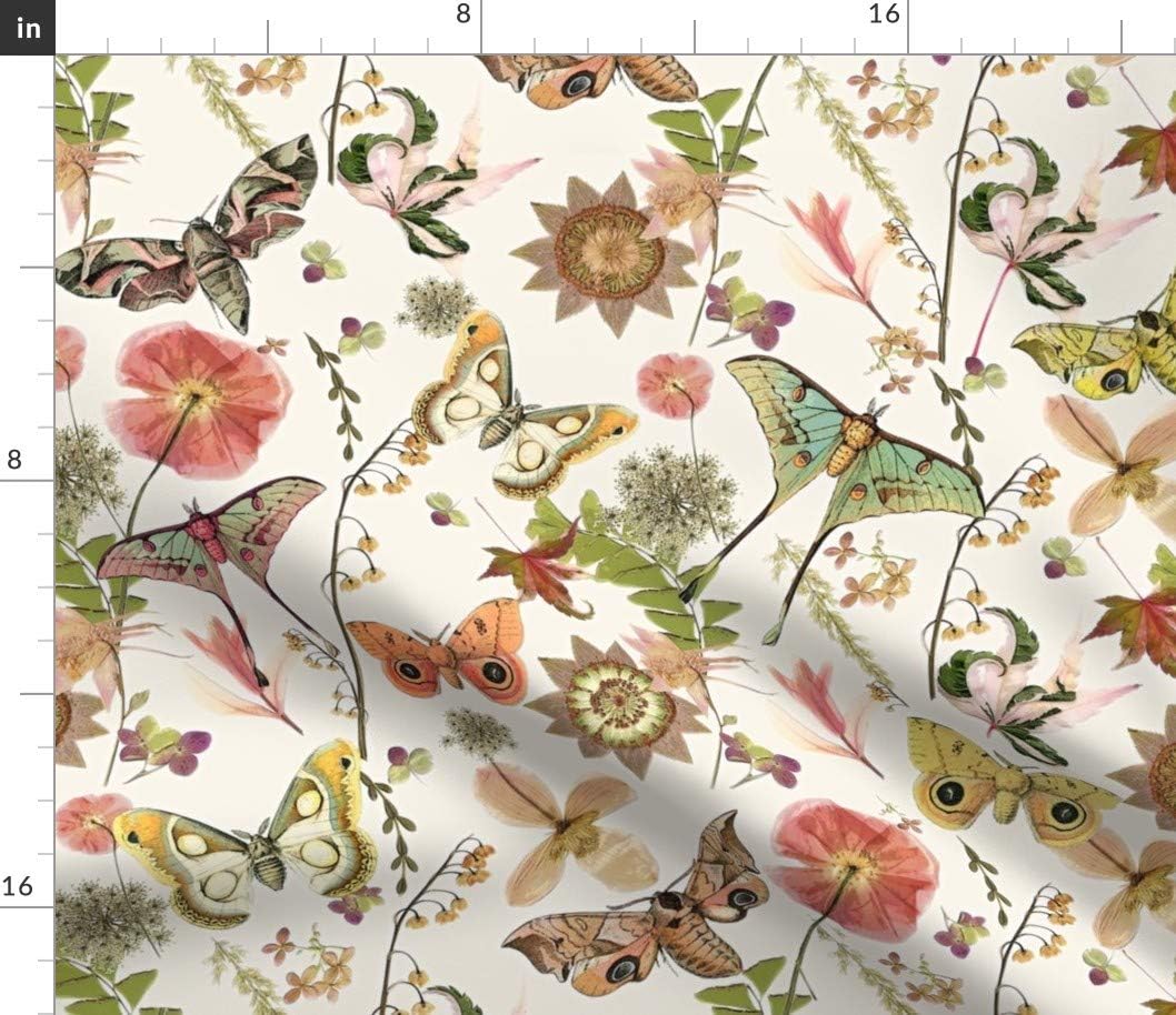 Spoonflower Fabric - Moth Butterfly Botanical Insects Natural Boho Entomology Printed on Petal Signature Cotton Fabric by The Yard - Sewing Quilting Apparel Crafts Decor