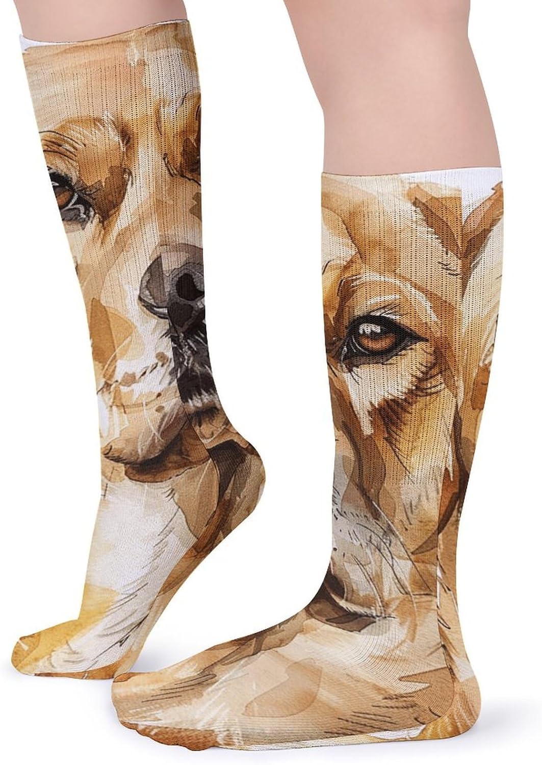 5 Pairs Knee High Socks Labrador Retriever Dog Long Tube Boot Seamless Toe