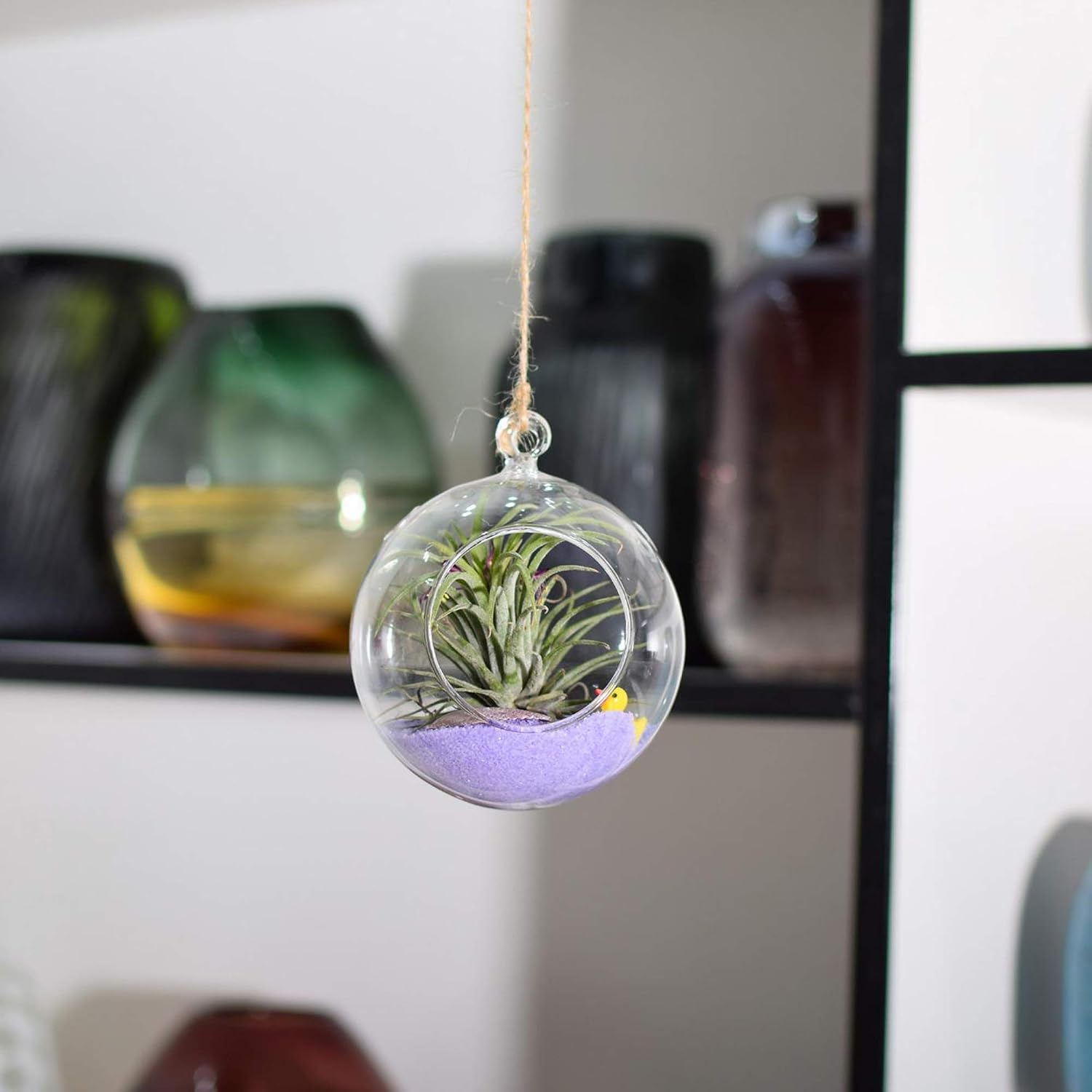 WGVI WGV Hanging Plant Terrarium/Hanging Candle Holder, Round Base with 1 Hook (6 Pcs)