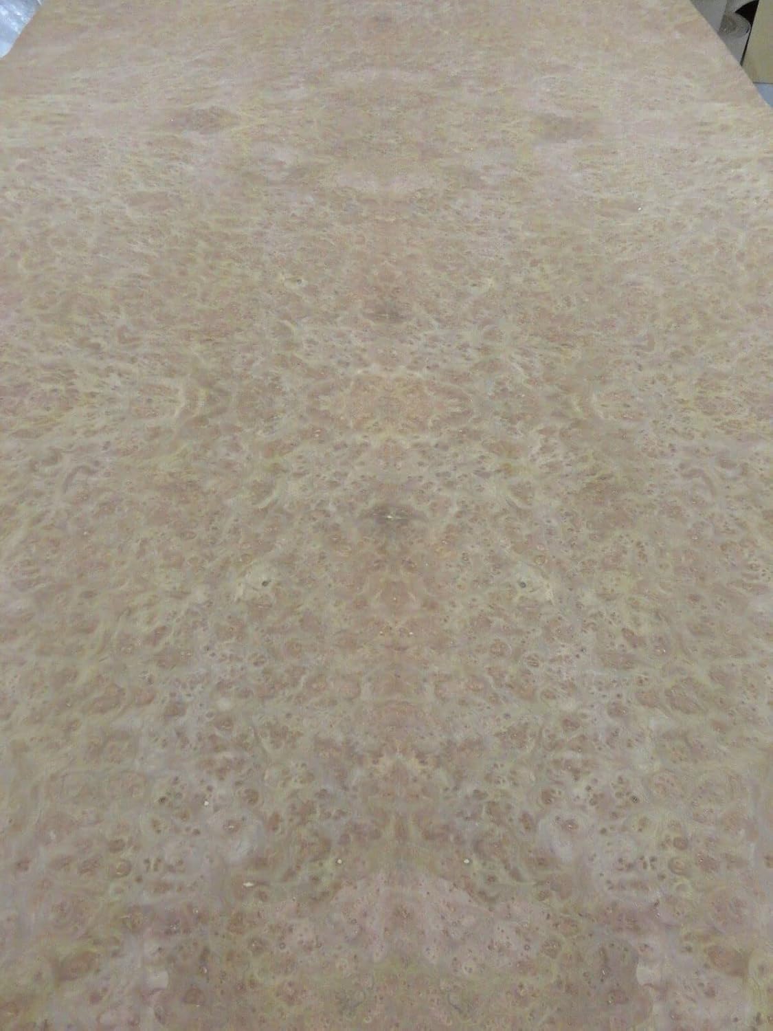 Carpathian Elm Burl Wood Veneer 24" x 96" with Paper Backer AAA Grade 1/40"