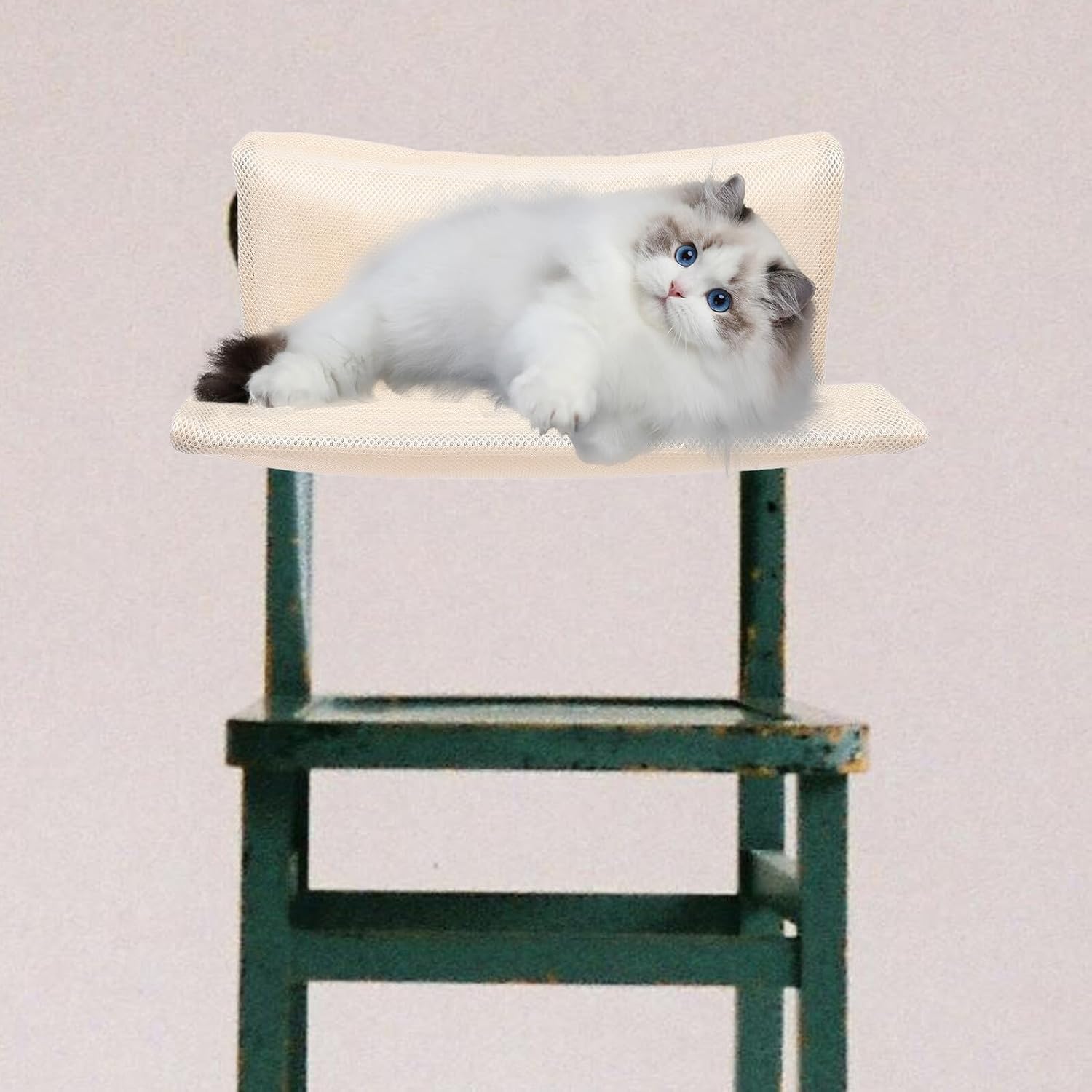 Cat Hammock for Fence and Large Cats Hanging Bed Removable Washable Beige Mesh Fabric Foldable Indoor Outdoor Pet Sleeping Perch