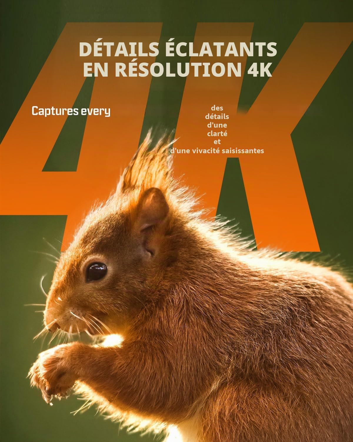 CEYOMUR Camera de Chasse Solaire 4K 30fps, WiFi Bluetooth 64MP Caméra de Chasse, Angle de détection 120° Vision Nocturne IP66 étanche pour Surveillance des Animaux Sauvages avec Carte SD 32GB