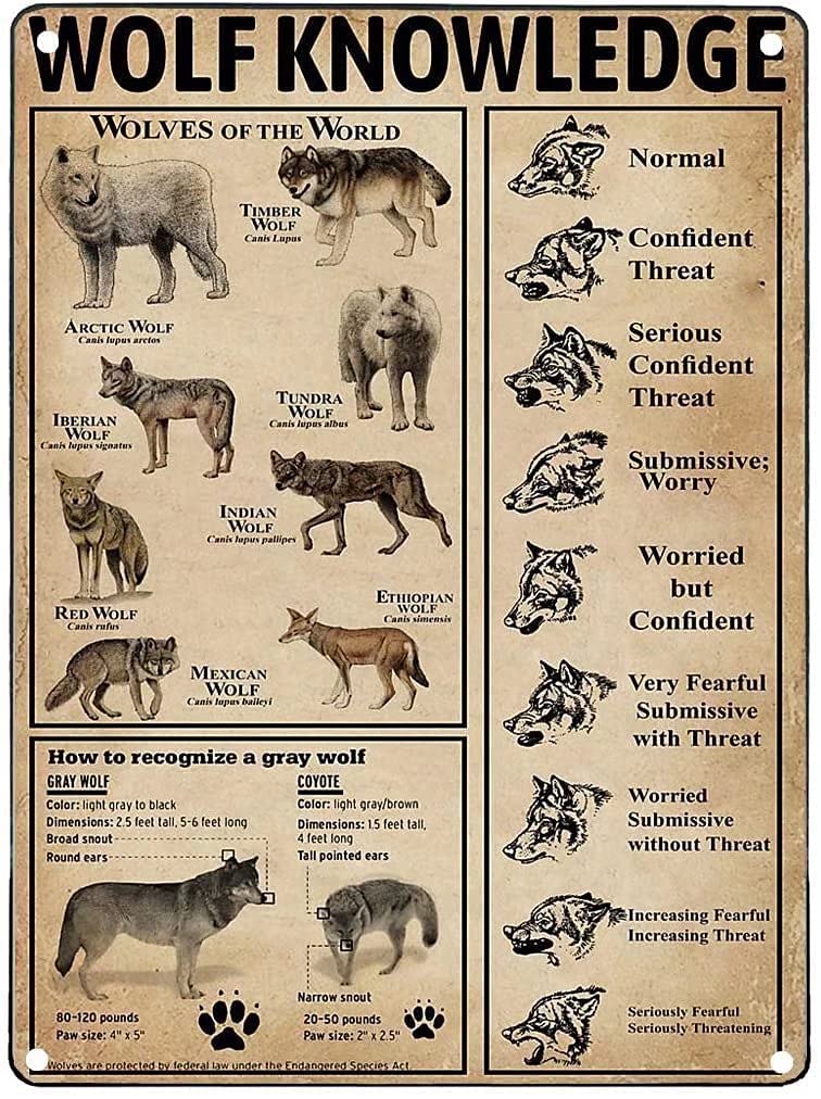 Wolf Knowledge Metal Signs, Fun Poster For Bar Kitchen Cafe Farmhouse Wall Decor 8x12inch