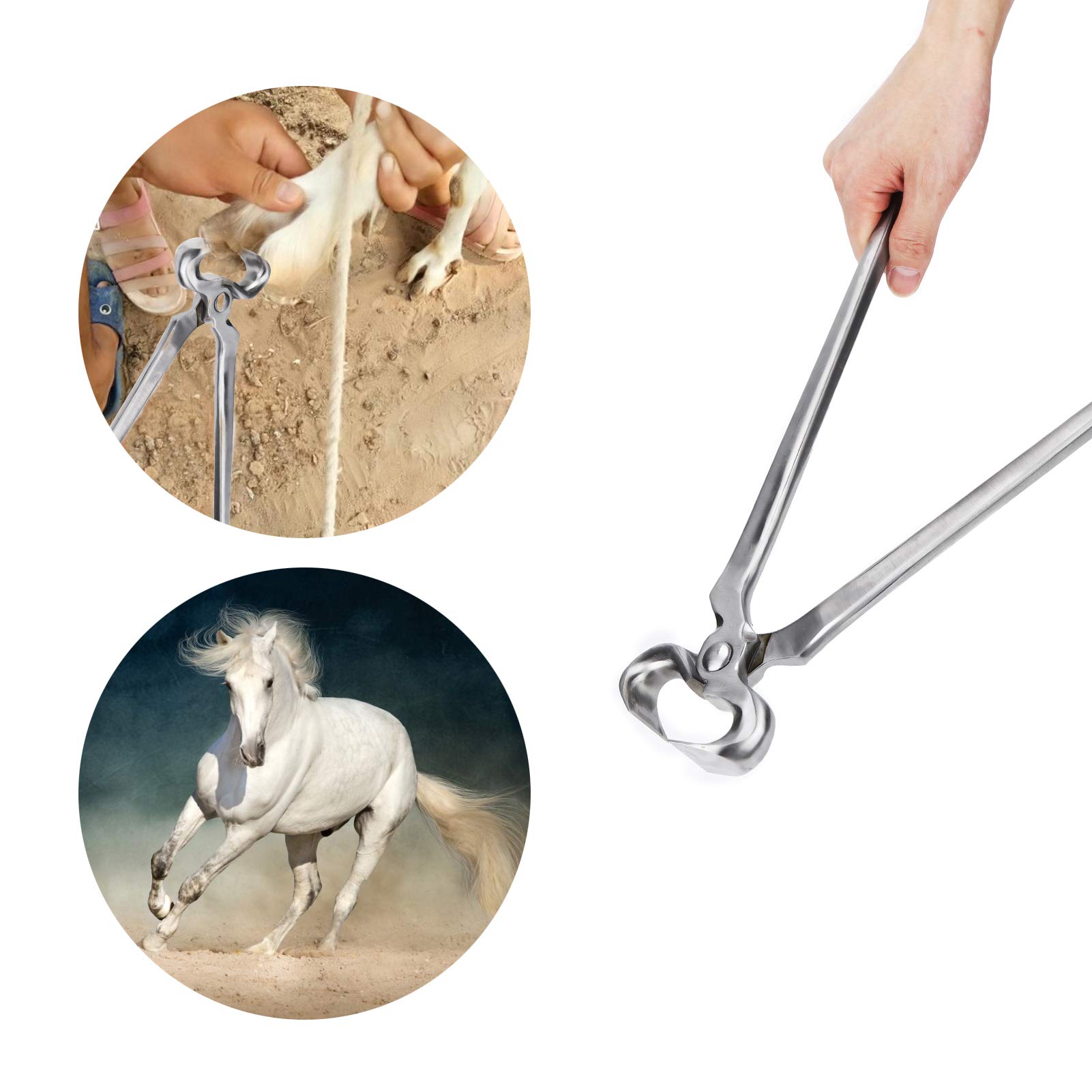 Cortadora De Cascos Multifuncional Herramienta De Alta Resistencia Pinza De Acero Herramienta De Corte De Cascos De Animales De Caballo