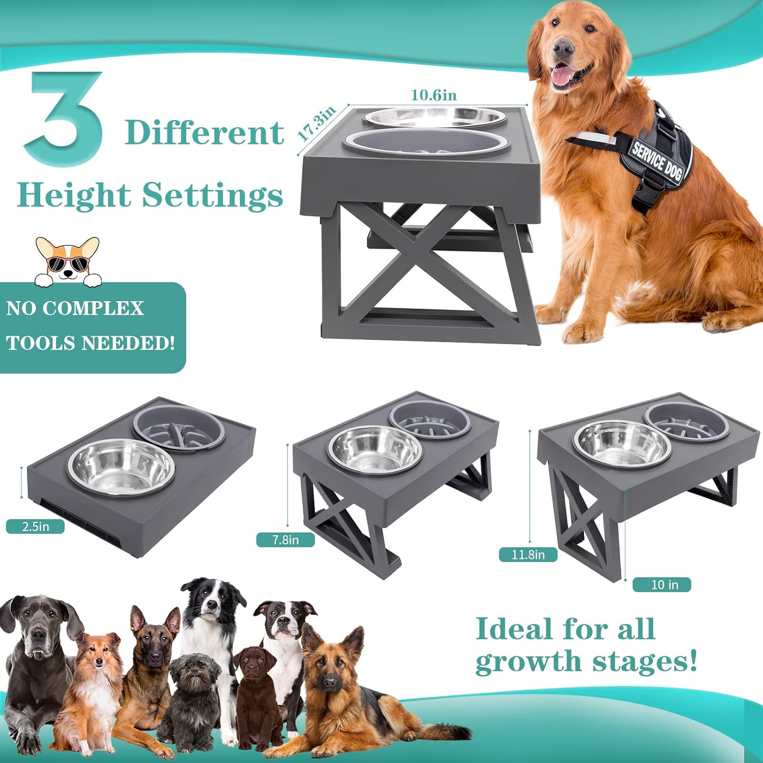 Elevated Dog Bowls Adjustable Raised Dog Bowl with 2 Stainless Steel with Slow Feeder Bowl Food Bowls Stand Non-Slip No Spill Dish Adjusts to 3 Heights for Small Medium Large Dogs