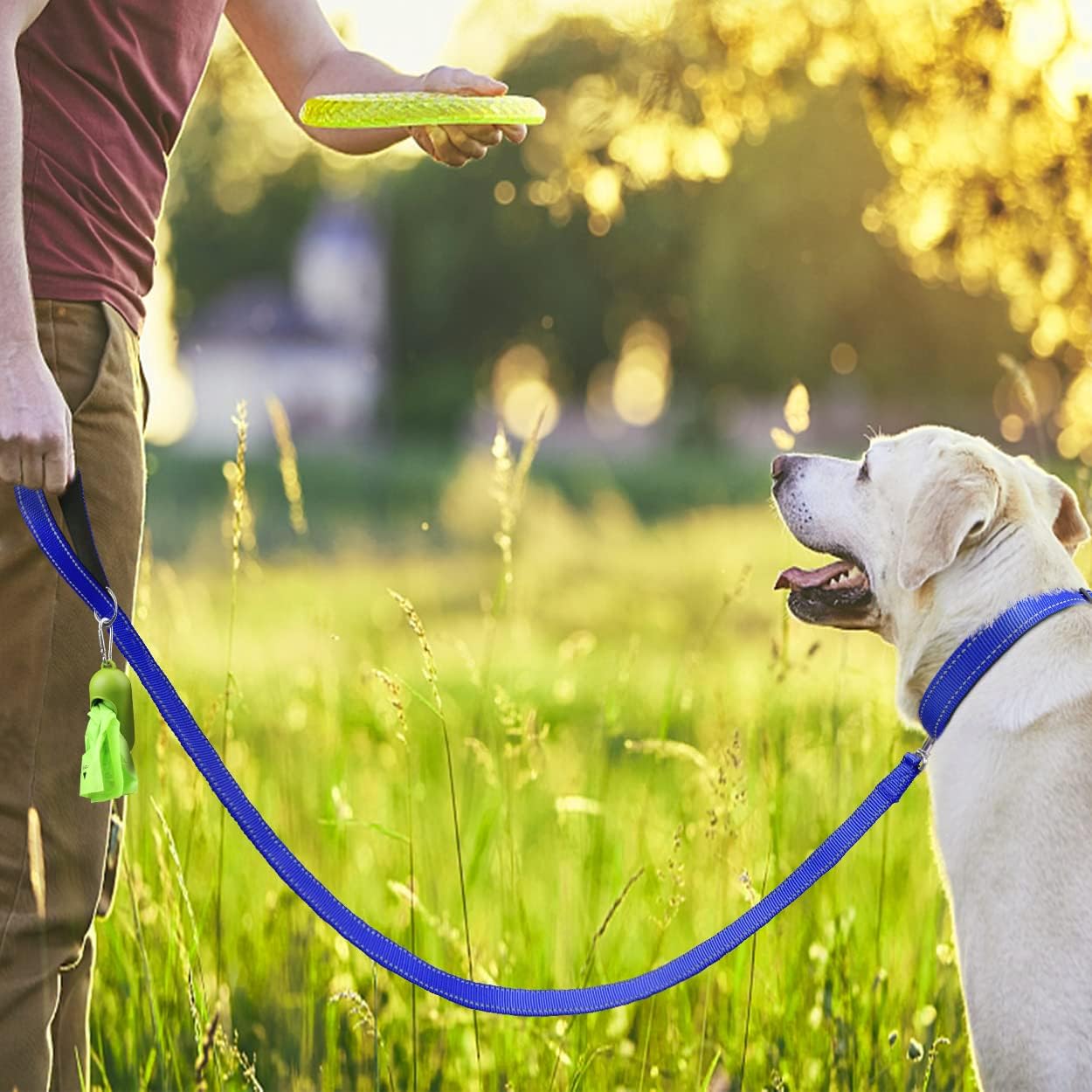 Dynmeow Reflective Dog Collar and Leash Set, Adjustable Pet Collar with Soft Neoprene Padded for Small Medium Large Dogs, Standard Leash, Navy Blue, L