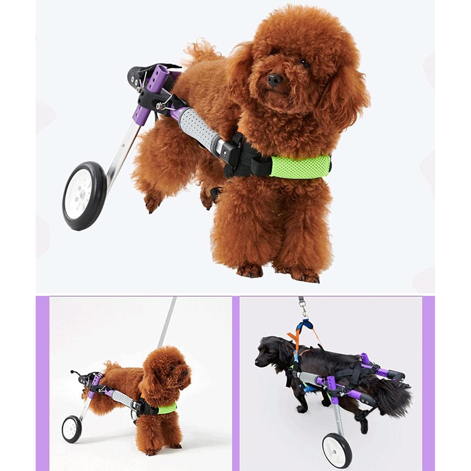 Lila Verstellbarer Hunderollstuhl, Rollstühle mit Gehbehinderten Hinterbeinen, Tierübungsräder, X-Small
