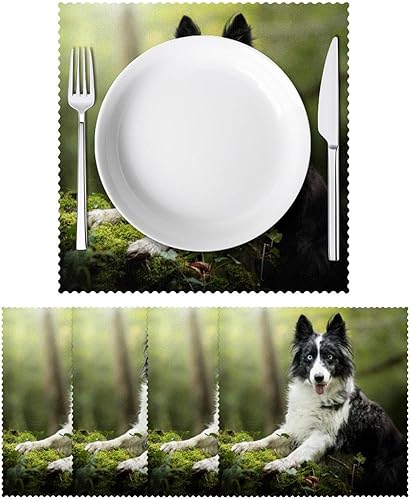 Miniatura 2 de Placemats Dining Table Place Mats Cloth Placemats Kitchen Table Mats Indoor Outdoor Placemat, Dog Animal Border Collie