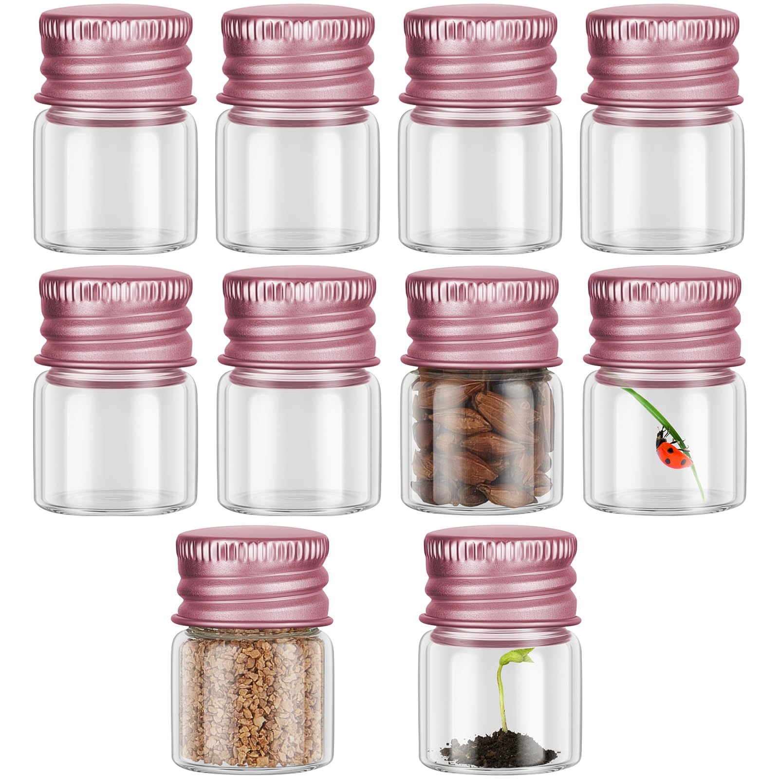 Tessco for you 10 Pcs 5 ml Mini Glass Bottles with Aluminum Cap, Rose Gold