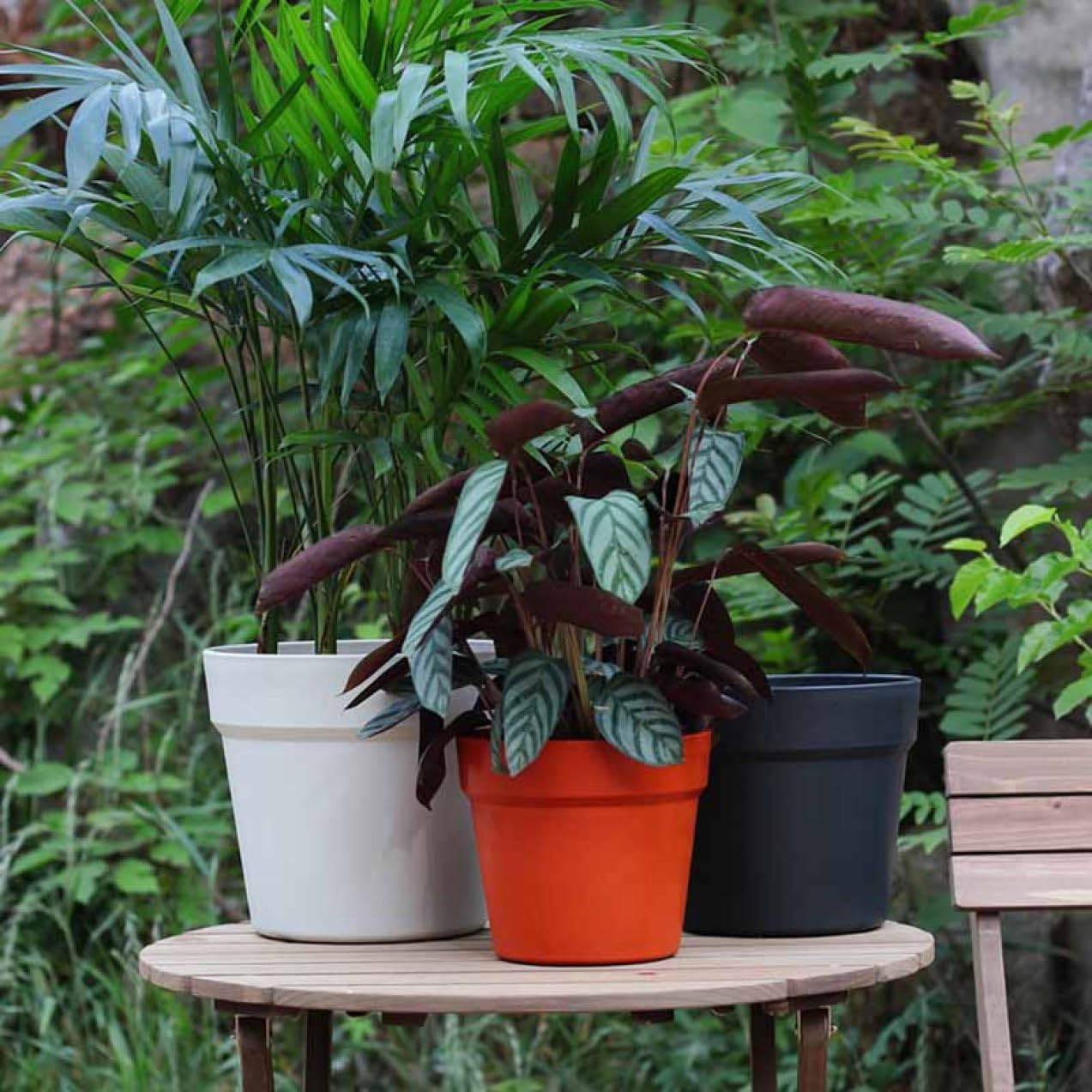 Amazon.co.jp: [ADSNS] 環境に優しい エコで レッド おしゃれな 植木鉢