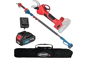 2-in-1 Cordless Electric Pruning Shears with Extended Pole