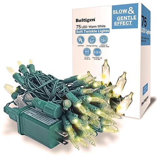 75 LED Soft Twinkle Lights, Slow Twinkling Christmas Lights, 37