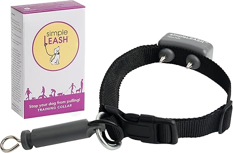 simple leash