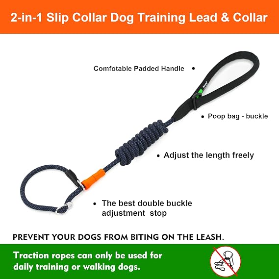 Slip Leads for Dogs 5FT x 3/8 in Leash, Professional Dog Training Leash, 2-in-1 Dog Lead & Collar,Suitable for All Dogs(Orange)
