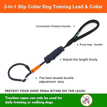 Slip Leads for Dogs 5FT x 3/8 in Leash, Professional Dog Training Leash, 2-in-1 Dog Lead & Collar,Suitable for All Dogs(Orange)
