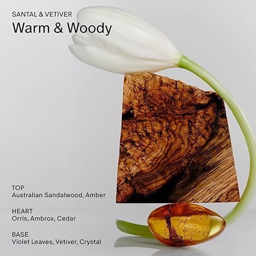 Miniatura 3 de SALT & STONE Vela perfumada para mujeres y hombres, vertida a mano, aromática y fragante, cera de mezcla de coco y soja, mecha 100% algodón, larga