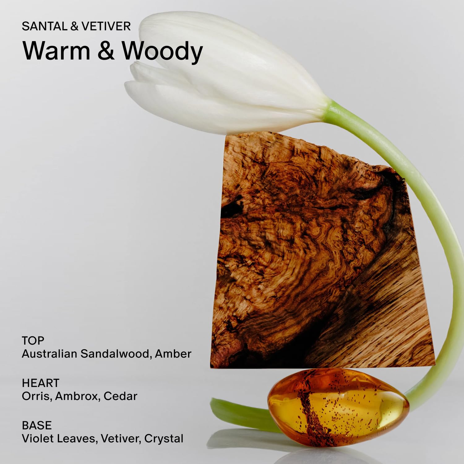 SALT & STONE Aluminum Free Deodorant | Extra Strength 48 Hour Protection for Women & Men | Made with Seaweed Extracts, Niacinamide & Prebiotics (Santal & Vetiver) - Image 3