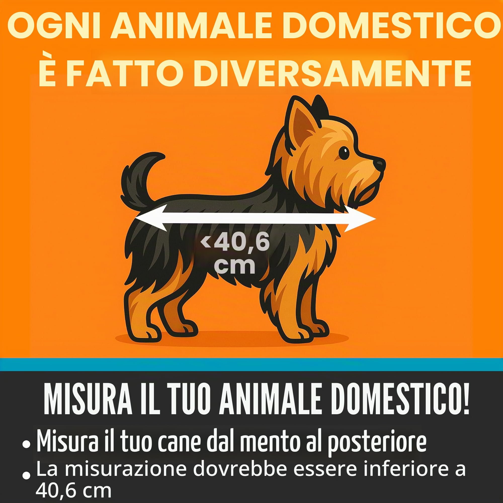 K&H Pet Products - Trasportino universale per bicicletta per cani, gatti e gatti, grande, 30,5 x 40,6 x 25,4 cm