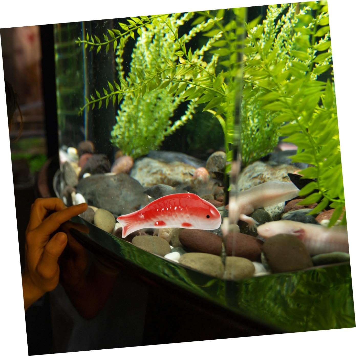 BESPORTBLE 5stücke Dekorative Keramik Fische Für Aquarien Schwimmende Cartoon-fischstatue Langlebige Aquarium-deko Für Unterwasserlandschaften Und Fischtank-zubehör