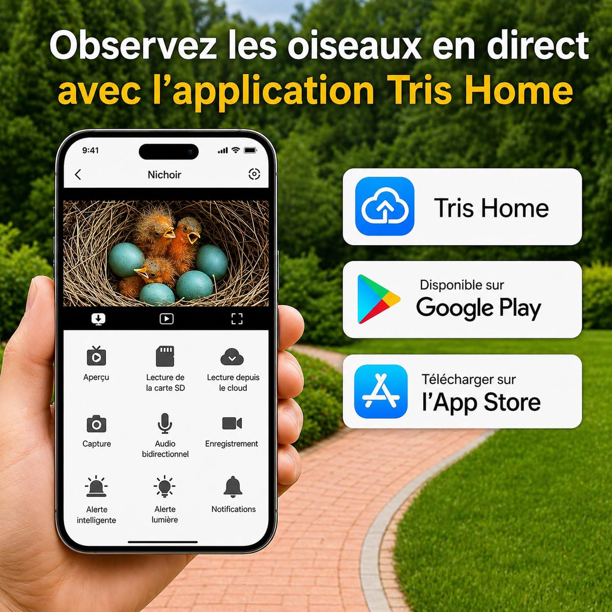 Nichoir intelligent avec caméra Wi-Fi 5 MP – Nichoir à énergie solaire pour observation des oiseaux en direct, détection de mouvement et alertes par application, nichoir en bois résistant aux