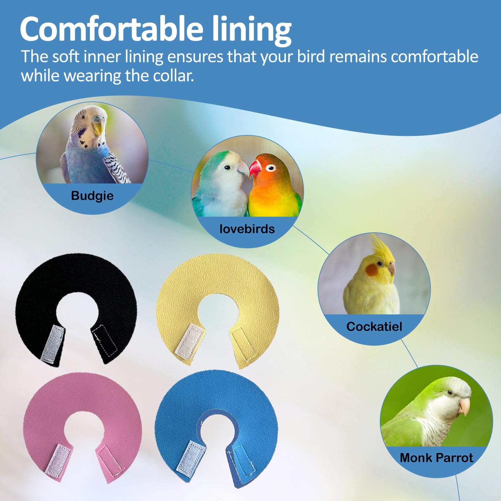 4Pack Bird Cone Collar, Anti-Grab Feather Plucking Wound Healing Safety Elizabethan Collar - Image 3