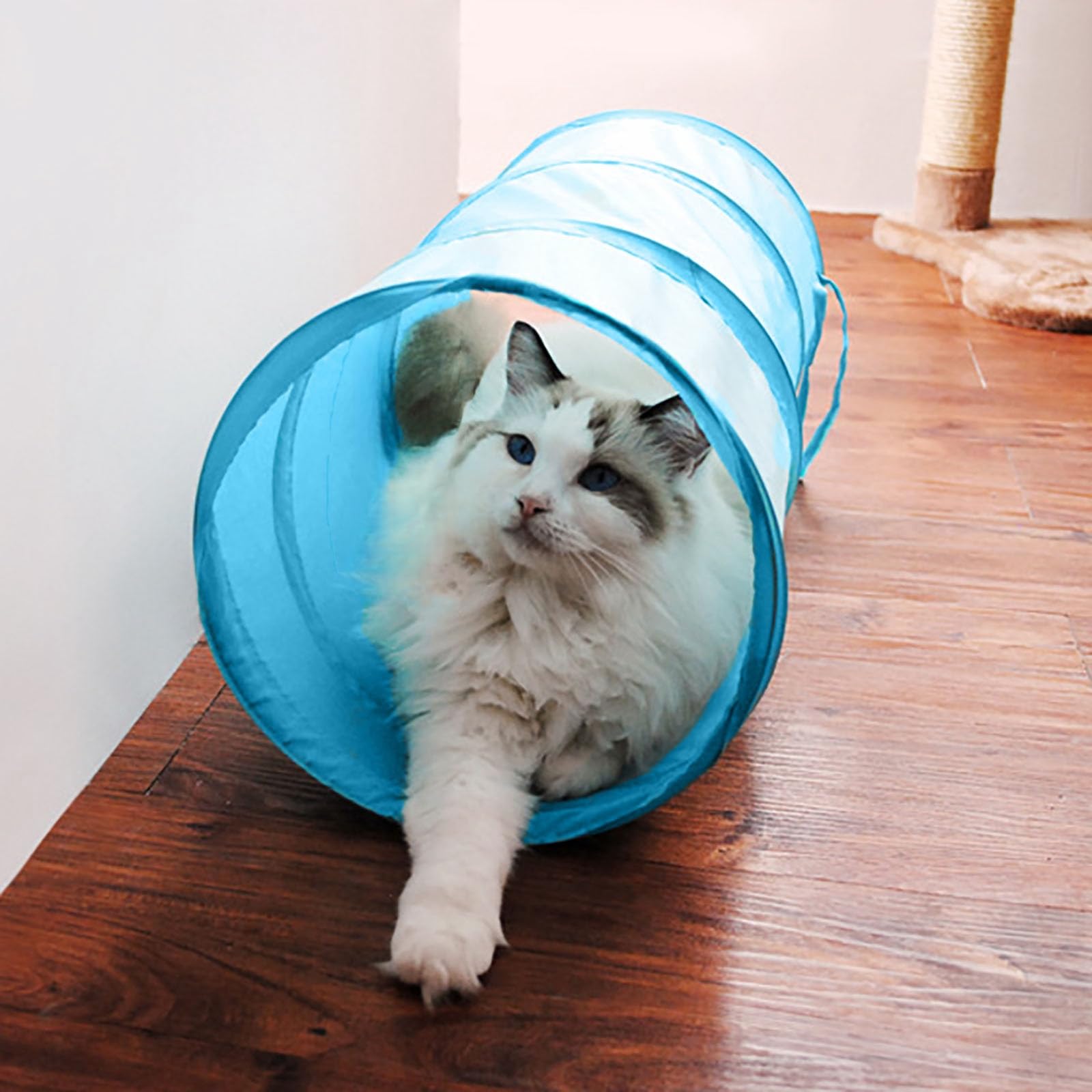 iCAGY Lot de 3 tunnels interactifs pour chat d'intérieur - Jouets pour animaux domestiques - Jouets pour chats, chatons, lapins, chiots - Pliables - 50,8 cm - Rose clair, vert clair, bleu ciel