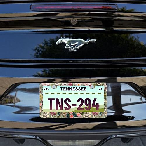 Miniatura 7 de Marco de matrícula 3D bordado con patrón floral de acero inoxidable para placa de matrícula, cubiertas de soporte para placa de automóvil a prueba