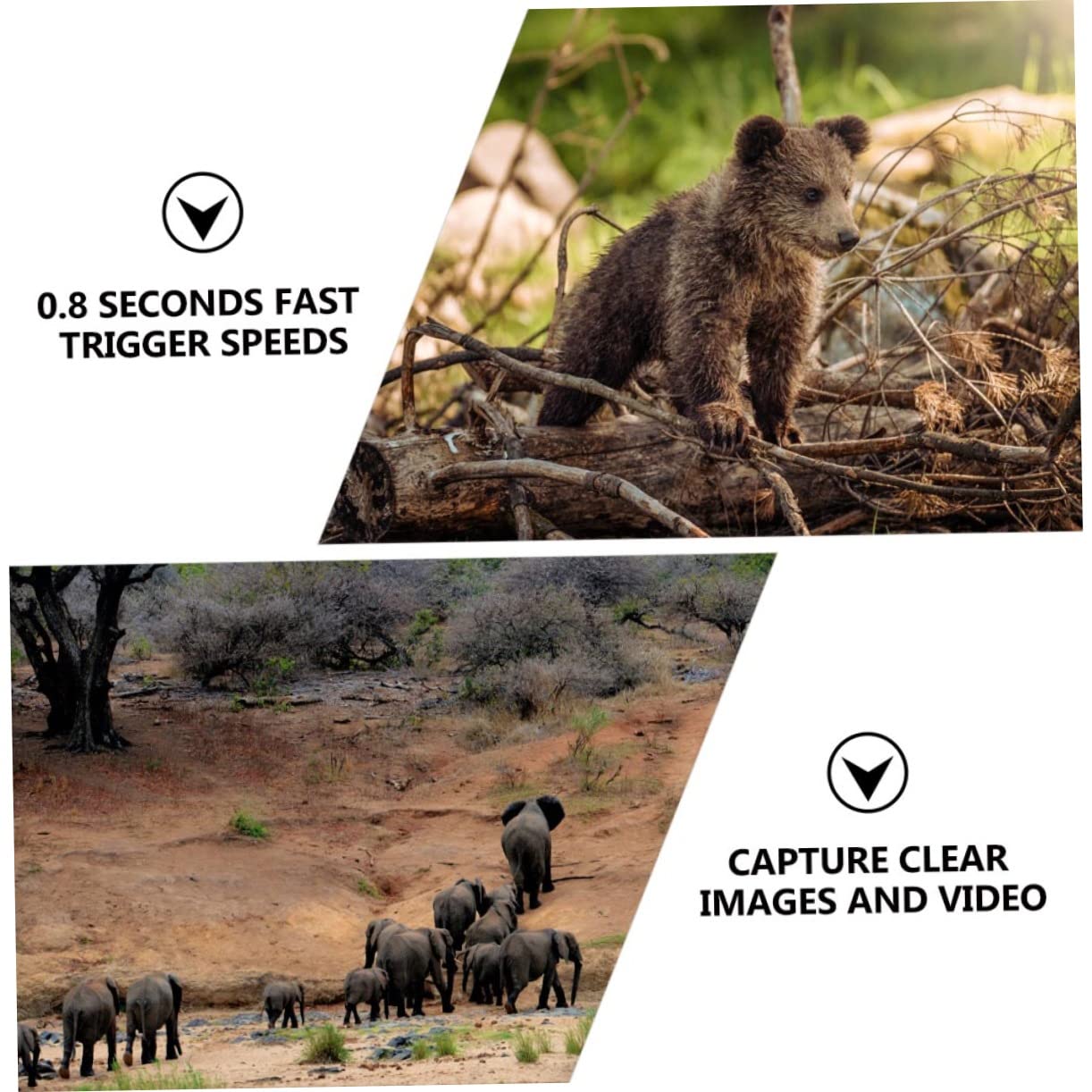 TOYANDONA Caméra de Chasse 1080p Étanche Vision Infrarouge Pir, Objectif Grand Angle 52°, pour Observation Faune en Extérieur