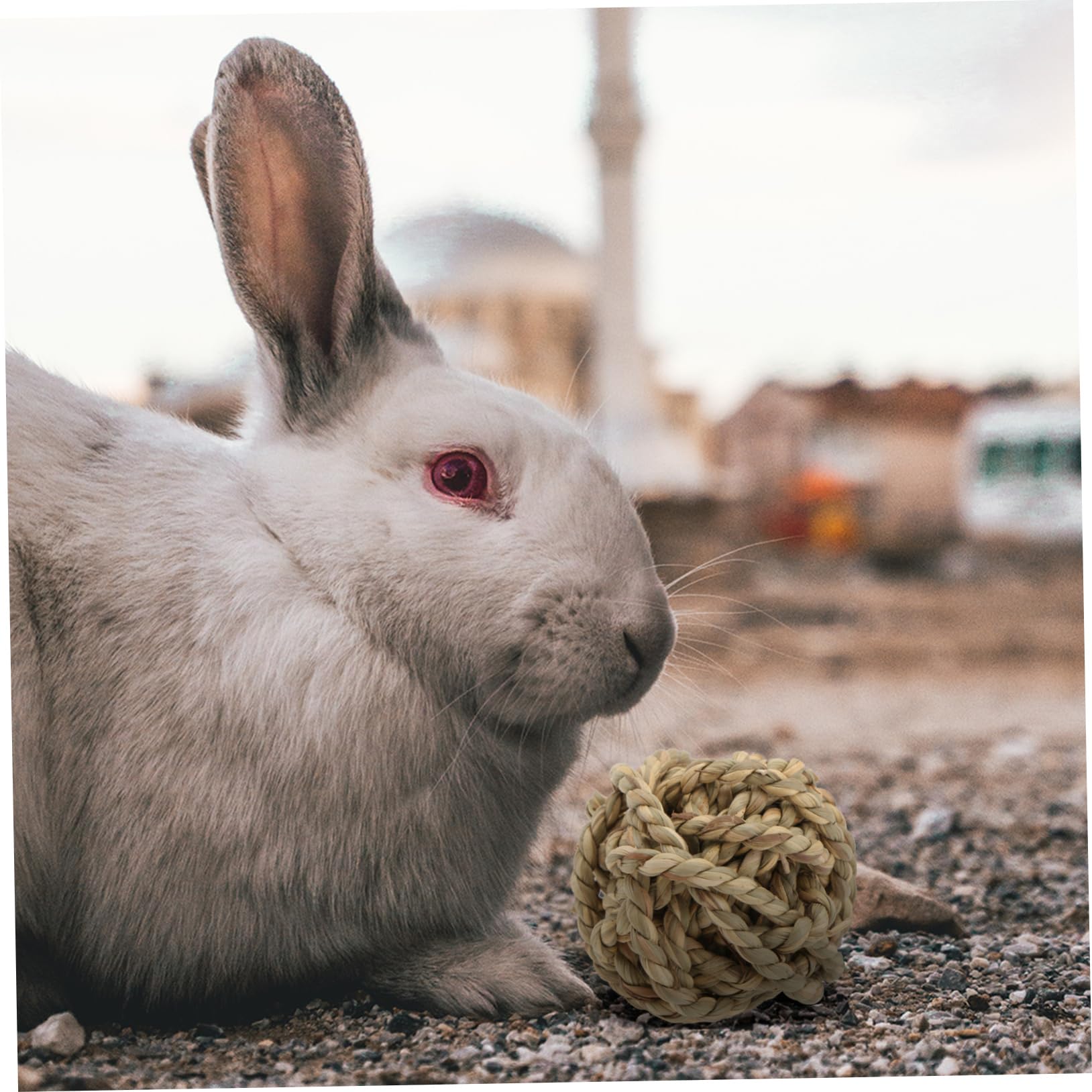 DOITOOL 6stücke Handgefertigte Naturgras-Rope-bälle Kauspielzeug Für Kleintiere Wie Kaninchen Und Meerschweinchen Aktivitätsspielzeug Zur Beschäftigung Und Zahnpflege Sicher Und
