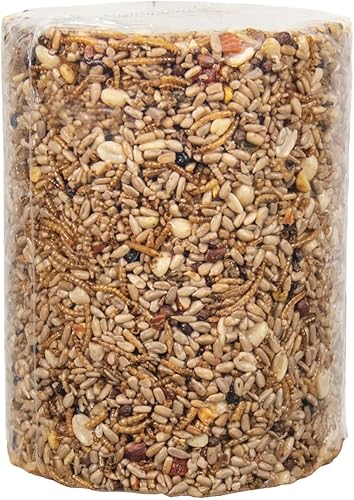 Miniatura 2 de JCs Wildlife Bugs Nuts and Berries Premium Bird Seed - Cilindro grande, 3.8 lb (1)