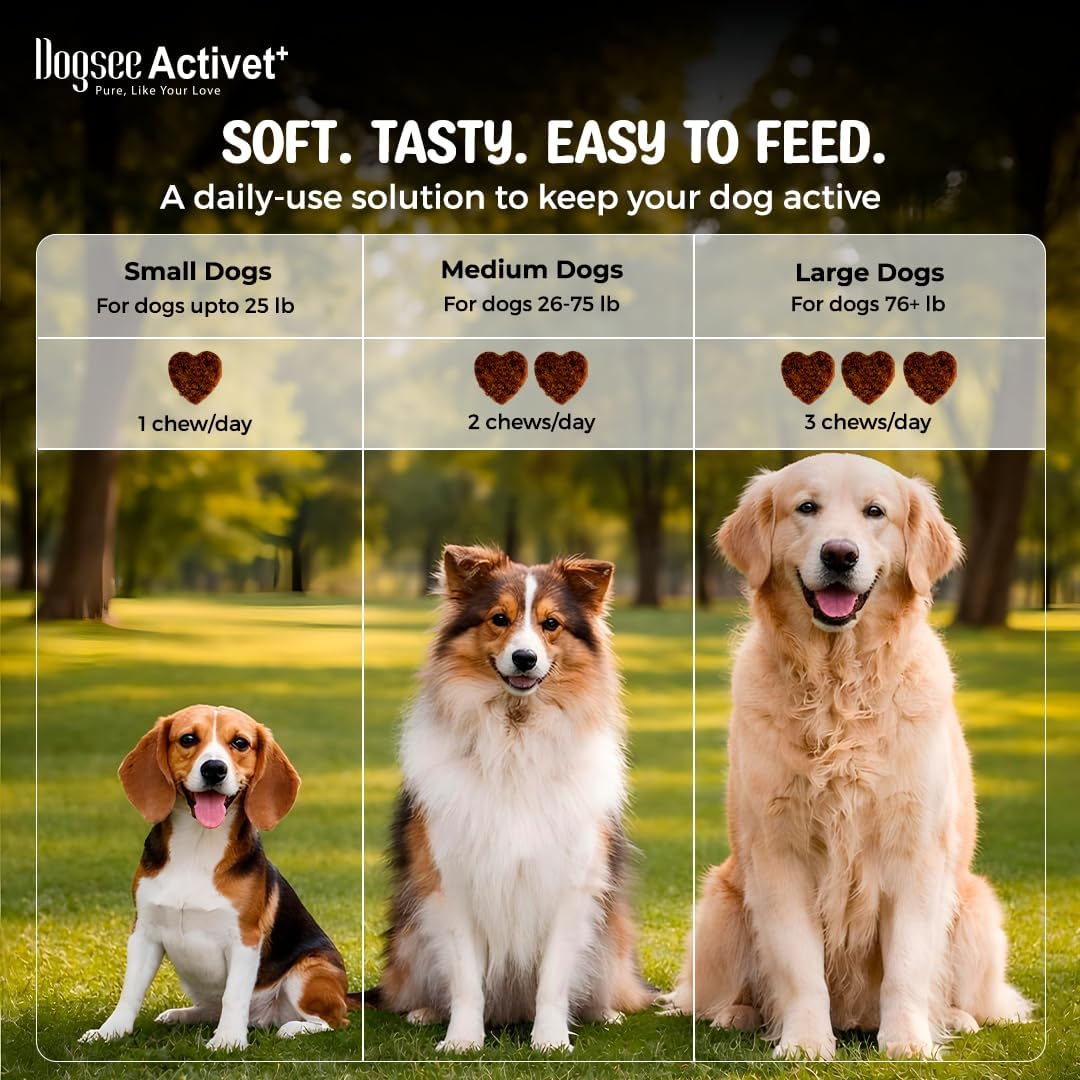 Dogsee Activet+ Dog Allergy Support Supplement Chews, with Omega 3, Quercetin, Probiotics & Botanicals, Immune Response & Itchy Skin Support, Chicken Flavor – 90 Chews