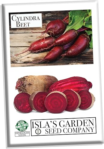 Semillas de remolacha Cylindra para plantar, más de 100 semillas tradicionales por paquete, semillas de jardín de Isla (semillas de jardín de Isla),